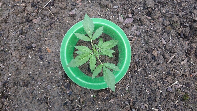 Growreport Bild 19