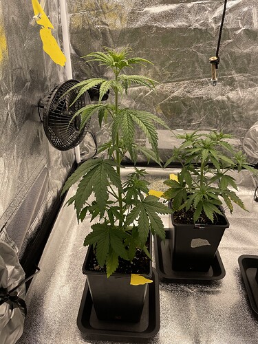 Growreport Bild 5