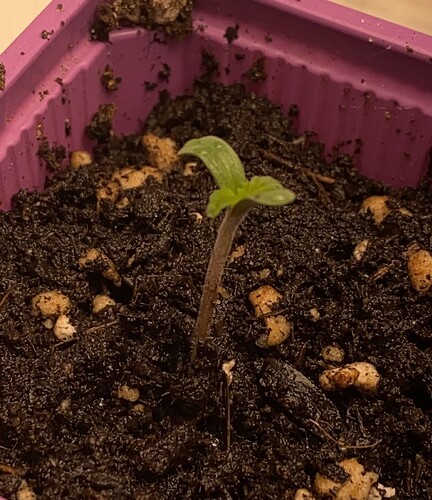 Growreport Bild 9