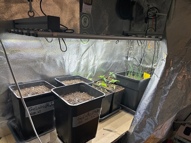 Growreport Bild 10