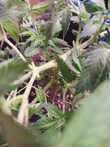 Growreport Bild 11