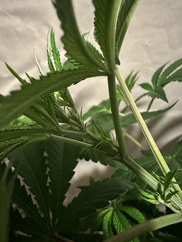 Growreport Bild 10