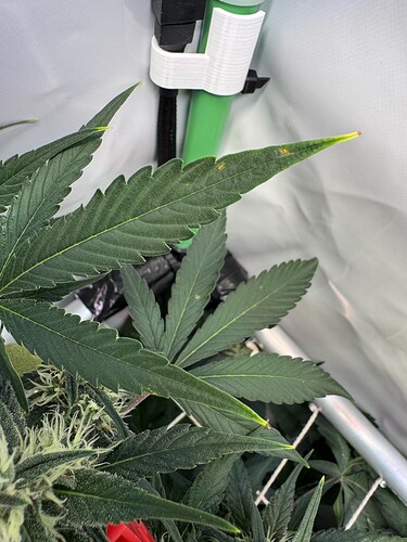 Growreport Bild 7