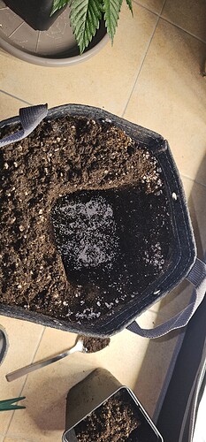 Growreport Bild 27