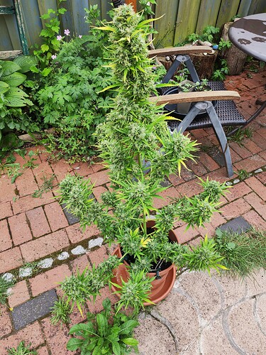 Growreport Bild 5