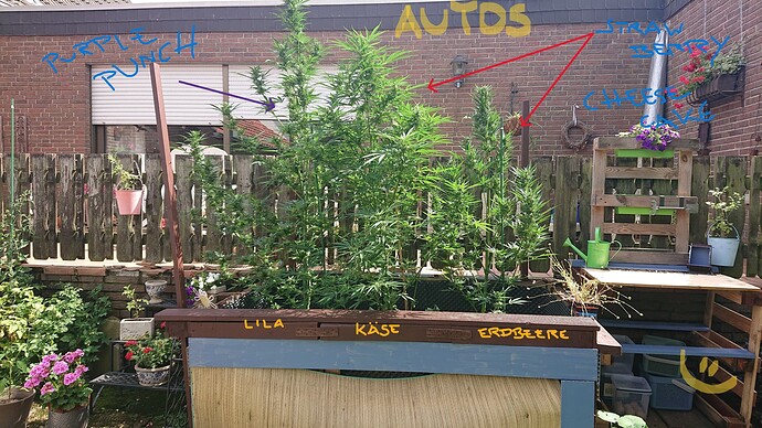 Growreport Bild 8
