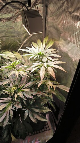 Growreport Bild 18