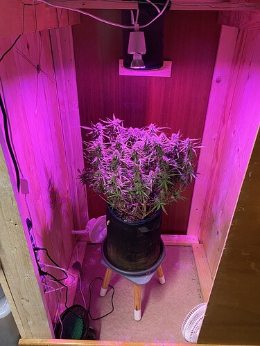 Growreport Bild 44