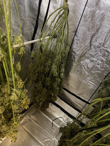 Growreport Bild 10