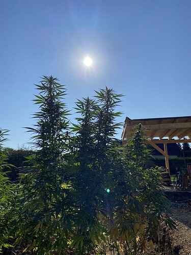 Growreport Bild 3