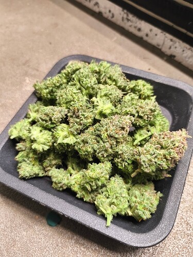 Growreport Bild 6