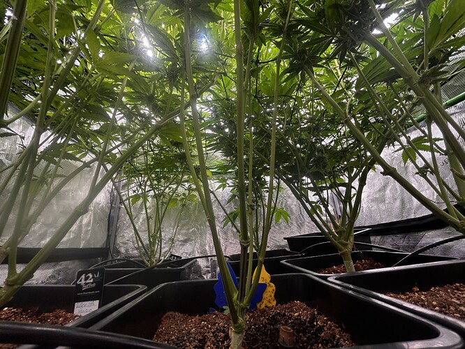 Growreport Bild 7