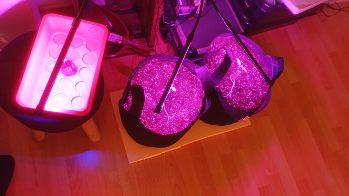 Growreport Bild 9