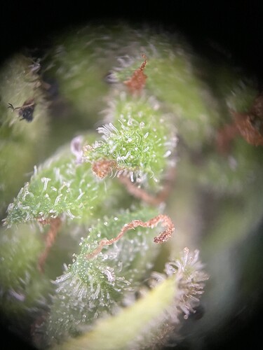 Growreport Bild 11