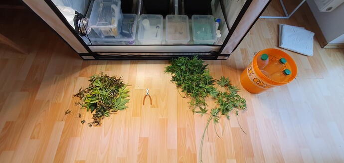 Growreport Bild 1