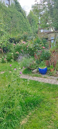 Growreport Bild 15