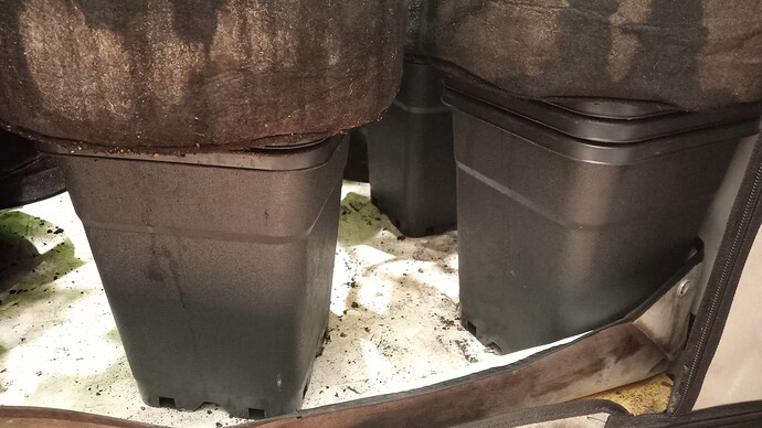 Growreport Bild 26