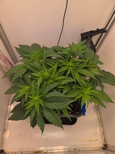 Growreport Bild 4