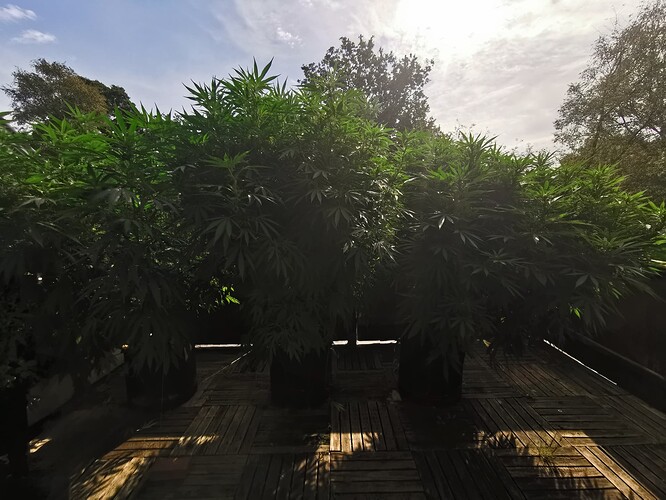 Growreport Bild 20