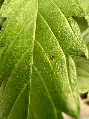 Growreport Bild 17