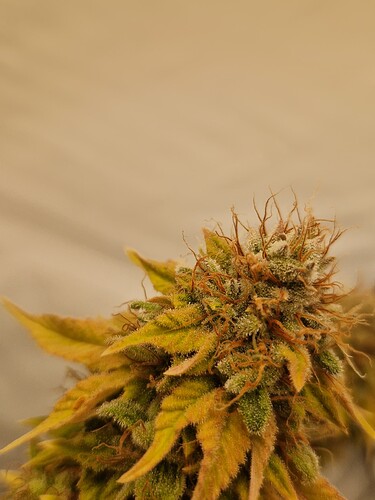 Growreport Bild 11