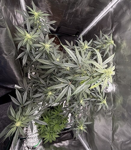 Growreport Bild 24
