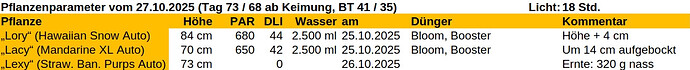 Growreport Bild 65