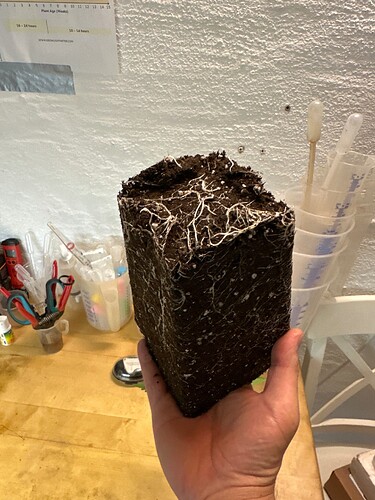 Growreport Bild 39