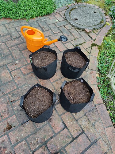 Growreport Bild 1