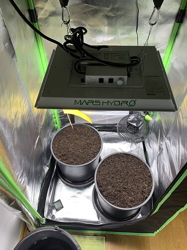 Growreport Bild 16