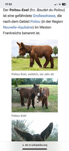 Growreport Bild 72