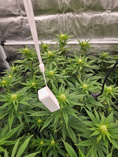 Growreport Bild 28