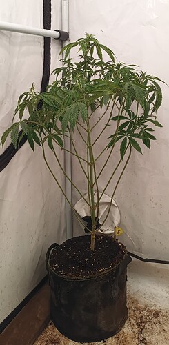 Growreport Bild 8