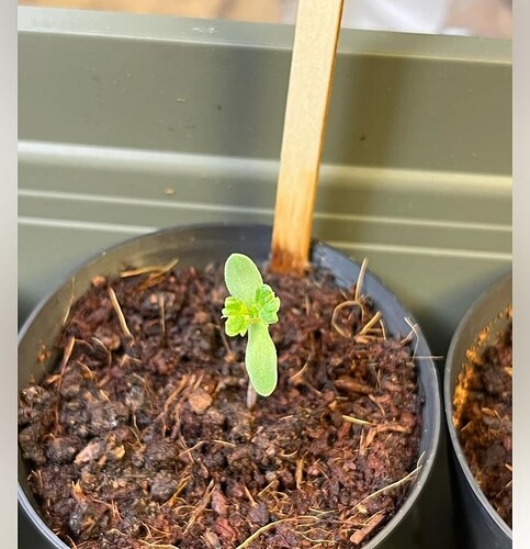 Screenshot_20240504_204803