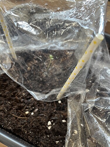 Growreport Bild 13