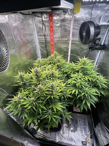 Growreport Bild 12