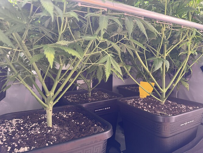 Growreport Bild 30