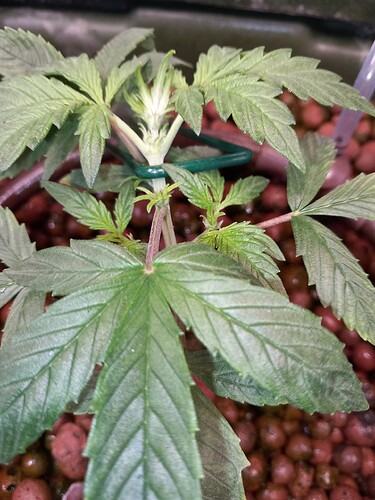 Growreport Bild 8