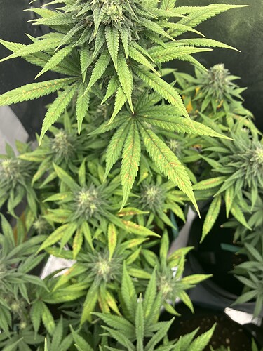 Growreport Bild 12
