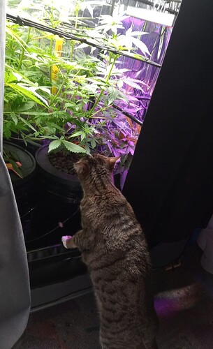 Growreport Bild 4
