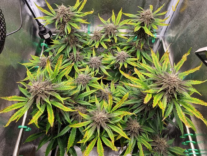 Growreport Bild 22