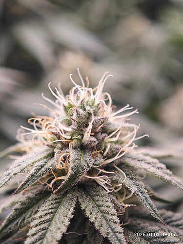 Growreport Bild 10