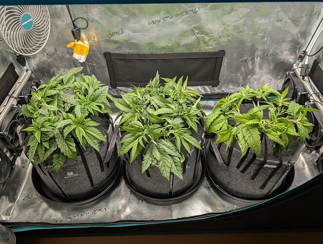 Growreport Bild 4