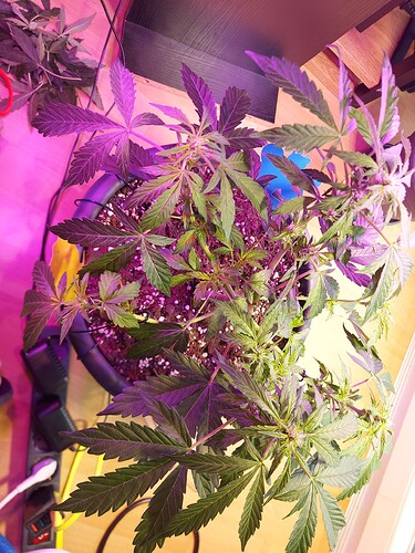 Growreport Bild 11