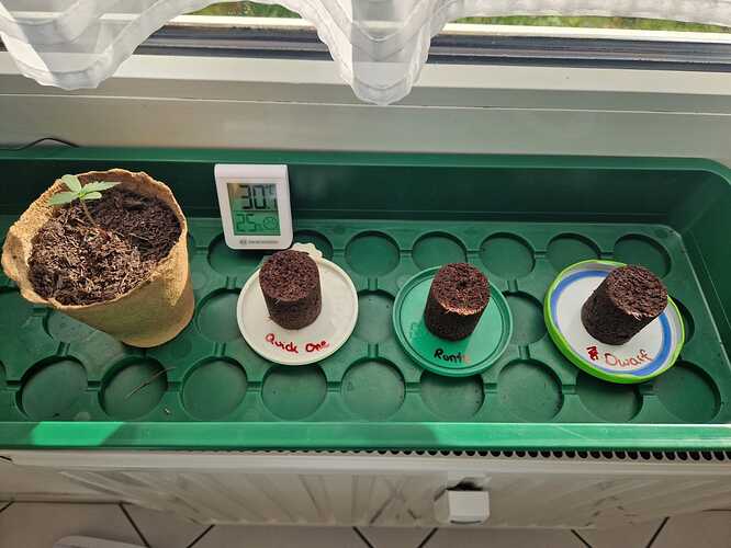 WhatsApp Image 2024-04-18 at 18.15.34