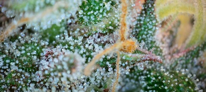 Screenshot_20240708_204142_Gallery