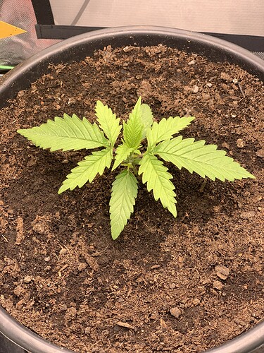 Growreport Bild 2