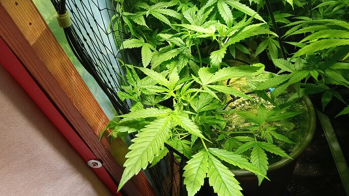 Growreport Bild 8