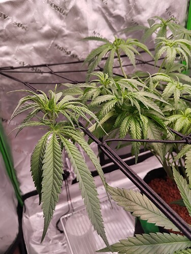 Growreport Bild 5
