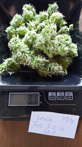 Growreport Bild 11